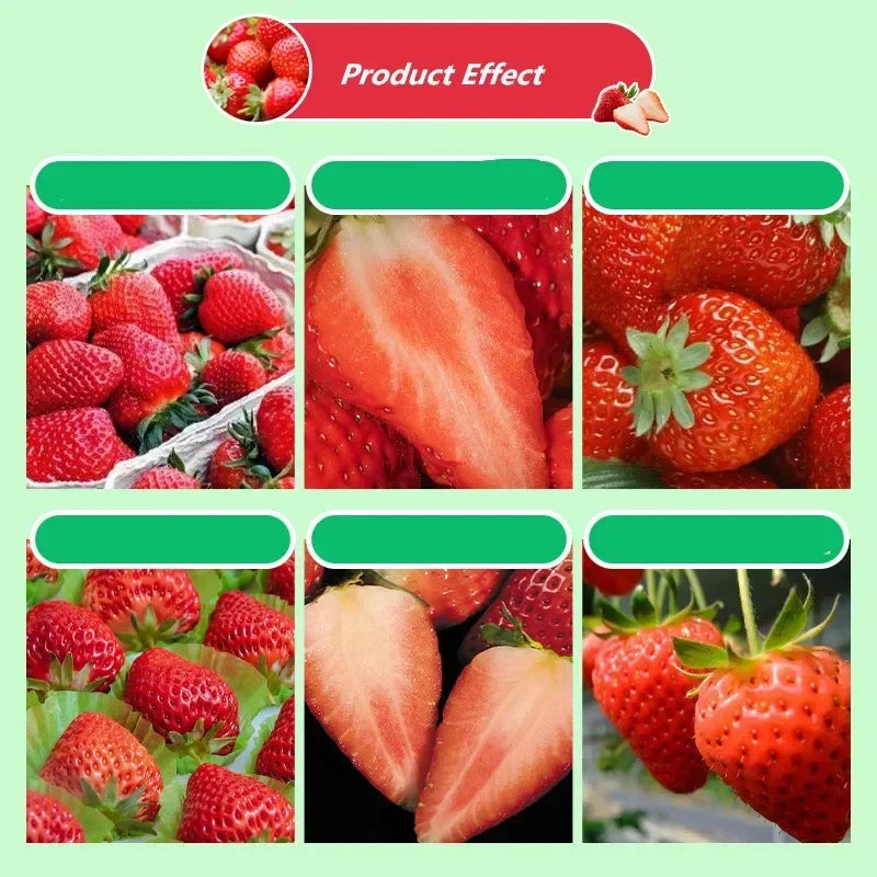 30g Strawberry Expanded Special Fertilizer Supplemental Plant Nutrition Improve Quality Increase Yield For Home Garden Bonsai