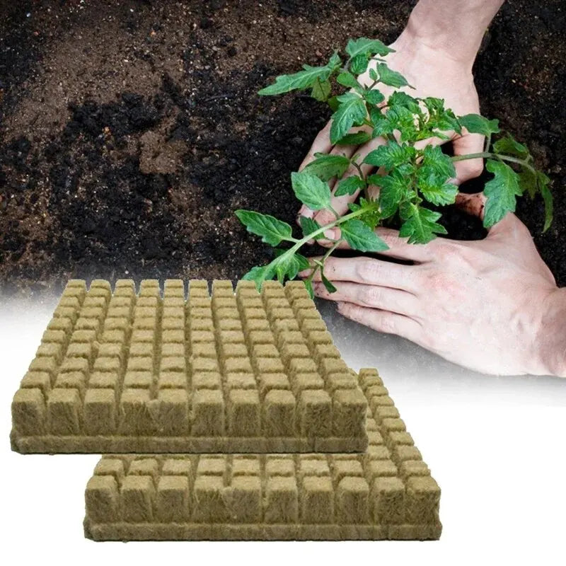 50pcs-25x25x25mm-stonewool-hydroponic-grow-media-cubes-plant-cubes-soilless-substrate-seeded-rock-wool-plug-seedling-block